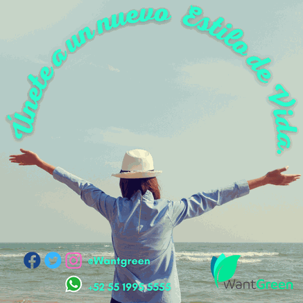 Odoo • Imagen y texto
