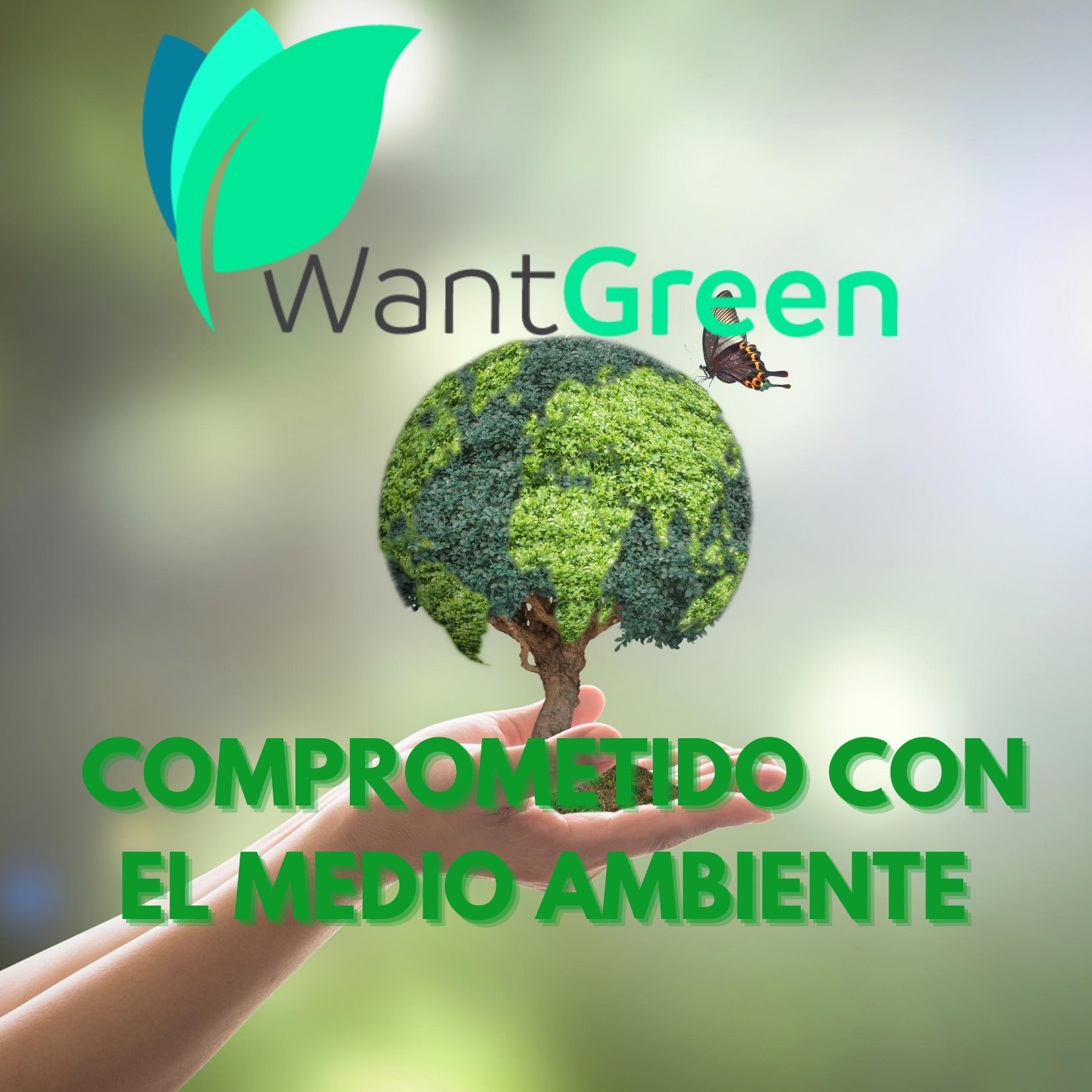 Odoo • Imagen y texto