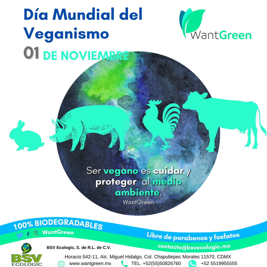 Odoo • Imagen y texto