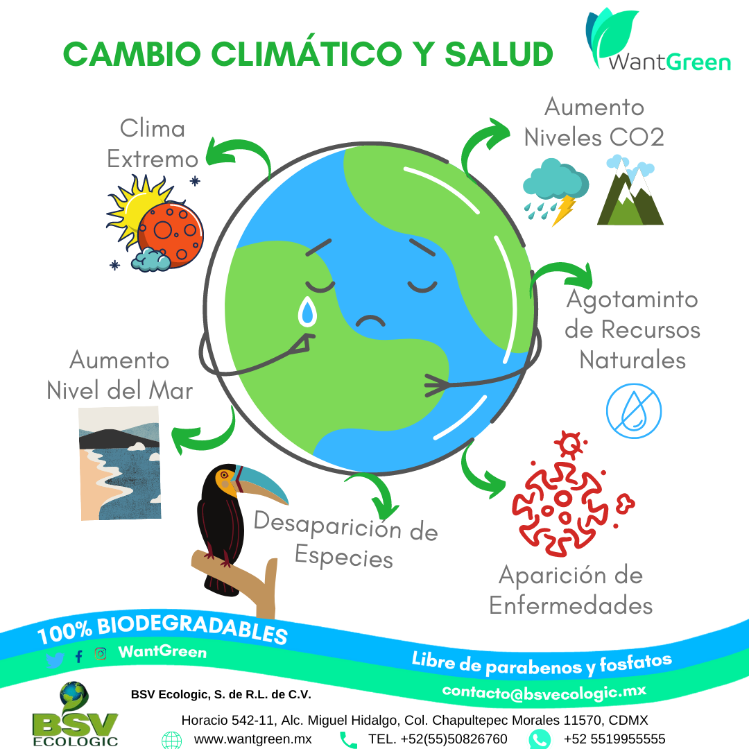 Odoo • Imagen y texto