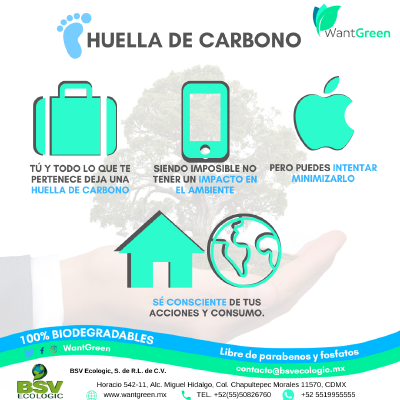Odoo • Imagen y texto