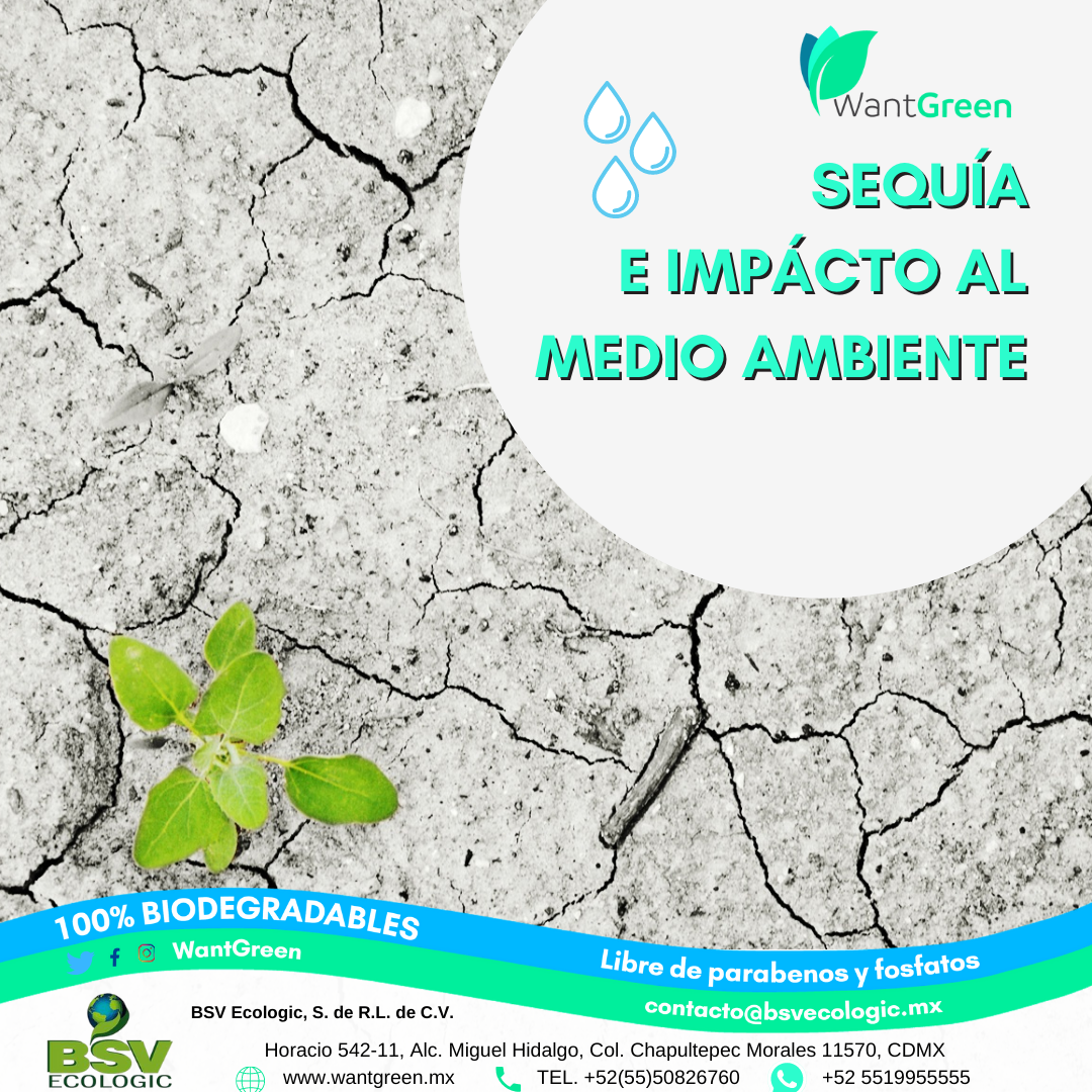 Odoo • Imagen y texto