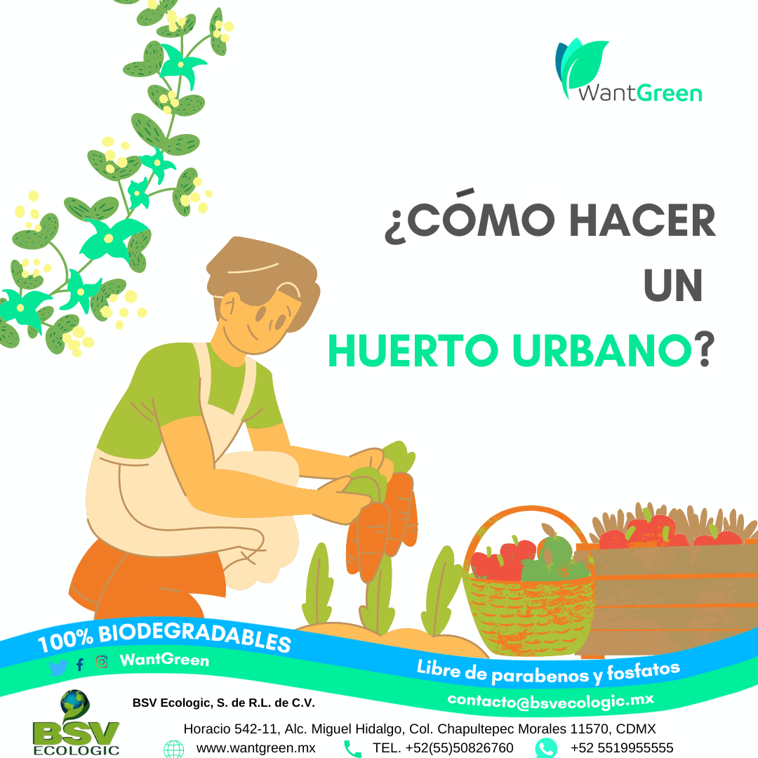 Odoo • Imagen y texto