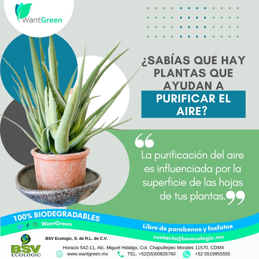 Odoo • Imagen y texto