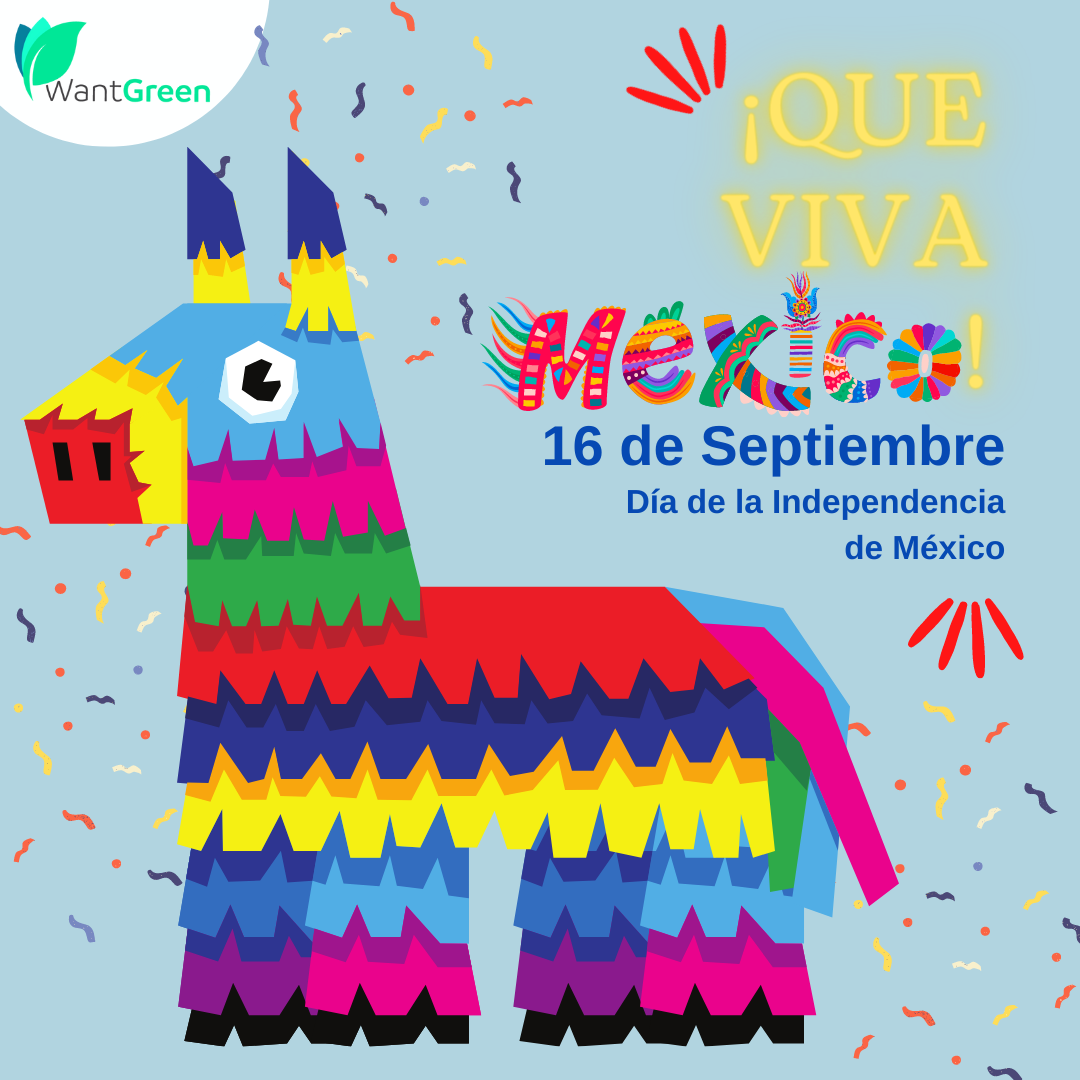Odoo • Una imagen con una leyenda