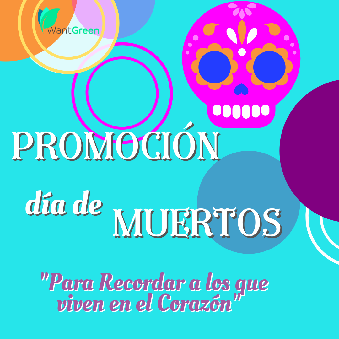 Odoo • Una imagen con una leyenda