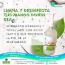 GEL SANITIZANTE CON ACIDO LÁCTICO 240 mls.