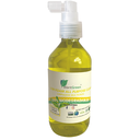 LOW FOAM ALL PURPOSE CLEANER LIMPIADOR MULTIPROPOSITO 240 ml.