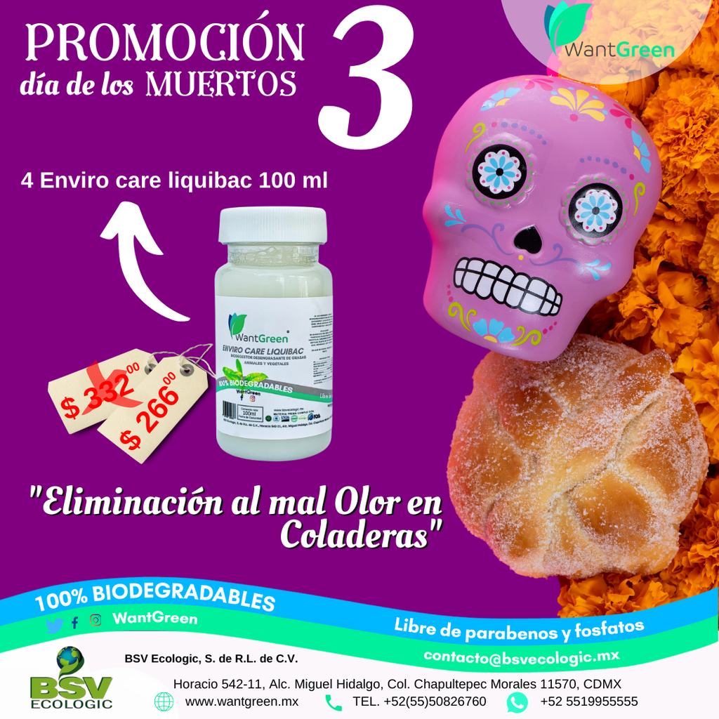 KIT PROMOCION 3 NOCHE DE CATRINAS